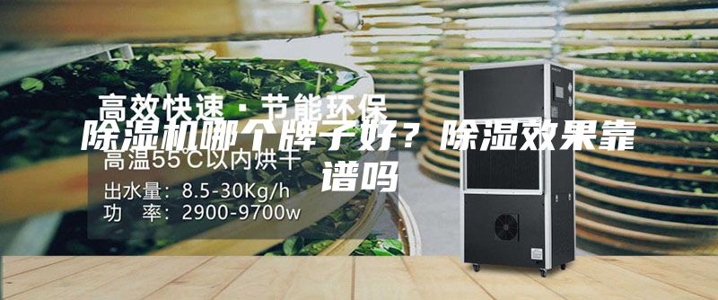 除濕機哪個牌子好？除濕效果靠譜嗎