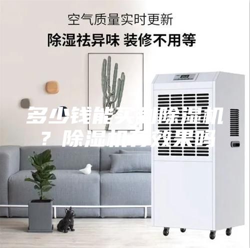 多少錢(qián)能買(mǎi)到除濕機(jī)？除濕機(jī)有效果嗎