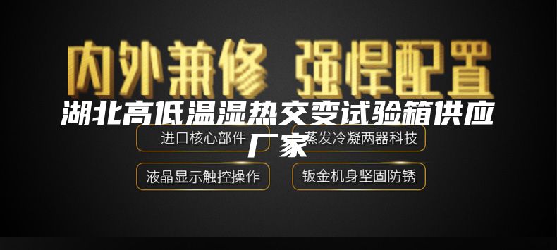 湖北高低溫濕熱交變試驗(yàn)箱供應(yīng)廠家