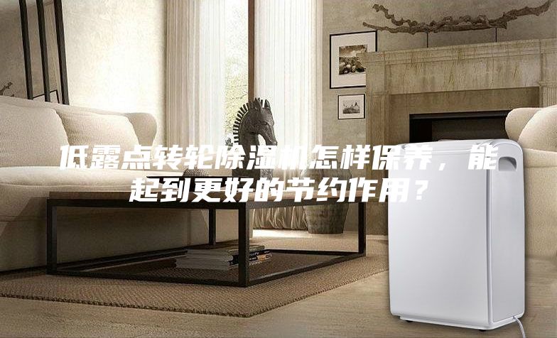 低露點(diǎn)轉(zhuǎn)輪除濕機(jī)怎樣保養(yǎng)，能起到更好的節(jié)約作用？