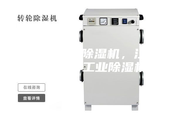 低露點轉(zhuǎn)輪除濕機，江蘇除濕機，工業(yè)除濕機