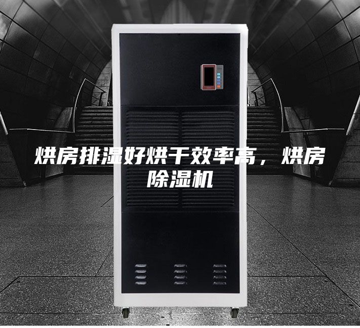 烘房排濕好烘干效率高，烘房除濕機(jī)