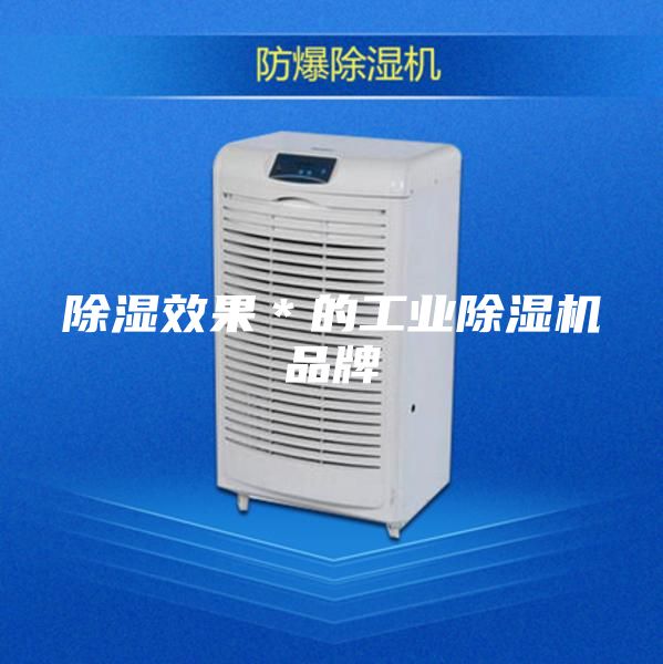 除濕效果＊的工業(yè)除濕機品牌
