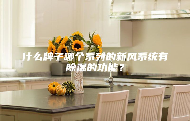 什么牌子哪個系列的新風(fēng)系統(tǒng)有除濕的功能？