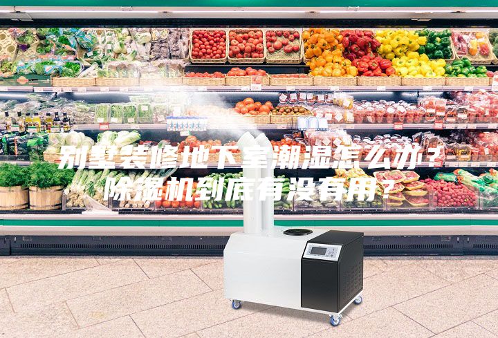 別墅裝修地下室潮濕怎么辦？除濕機(jī)到底有沒有用？
