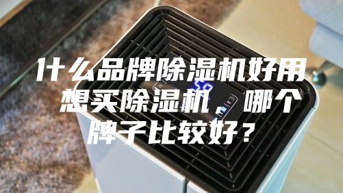 什么品牌除濕機(jī)好用 想買(mǎi)除濕機(jī)，哪個(gè)牌子比較好？