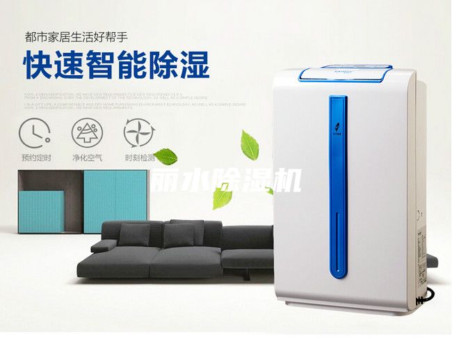 麗水除濕機