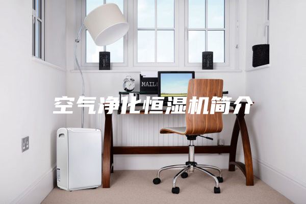 空氣凈化恒濕機(jī)簡介