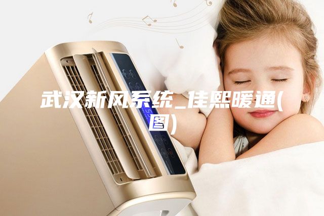 武漢新風系統(tǒng)_佳熙暖通(圖)