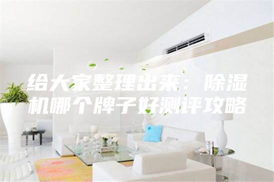 給大家整理出來：除濕機(jī)哪個牌子好測評攻略