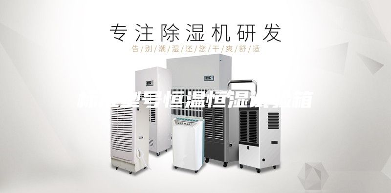 標(biāo)準(zhǔn)型號恒溫恒濕試驗箱