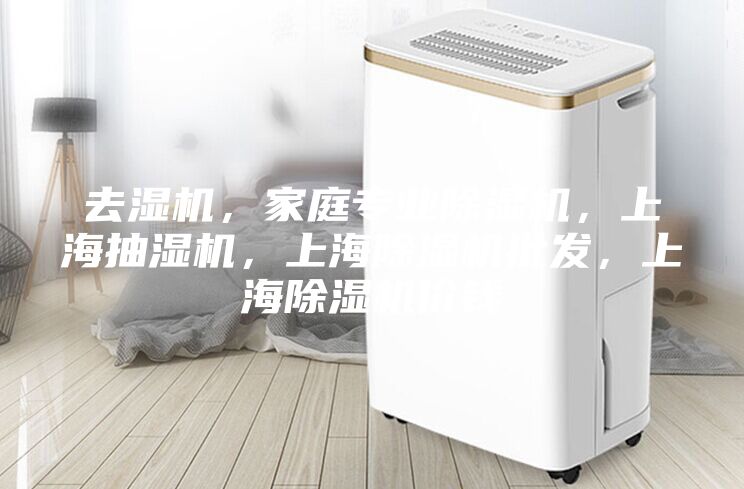 去濕機，家庭專業(yè)除濕機，上海抽濕機，上海除濕機批發(fā)，上海除濕機價錢