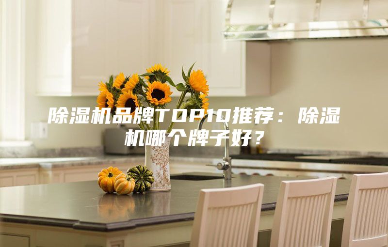 除濕機品牌TOP10推薦：除濕機哪個牌子好？