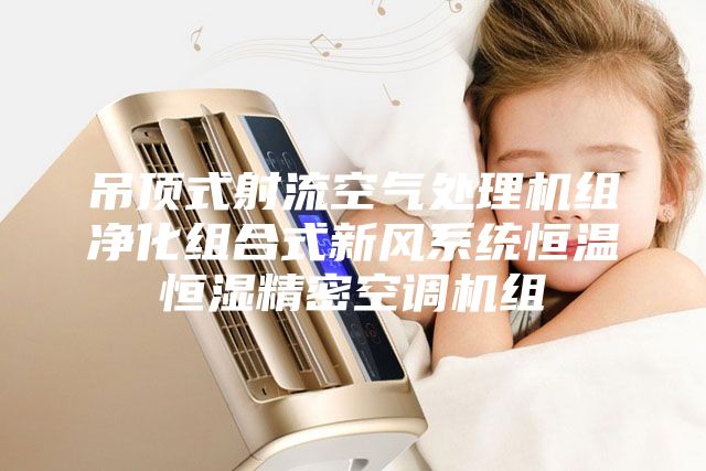 吊頂式射流空氣處理機組凈化組合式新風系統(tǒng)恒溫恒濕精密空調(diào)機組