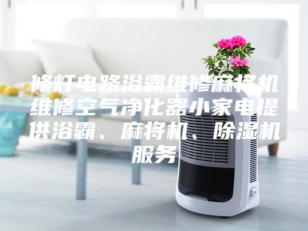 修燈電路浴霸維修麻將機(jī)維修空氣凈化器小家電提供浴霸、麻將機(jī)、除濕機(jī)服務(wù)