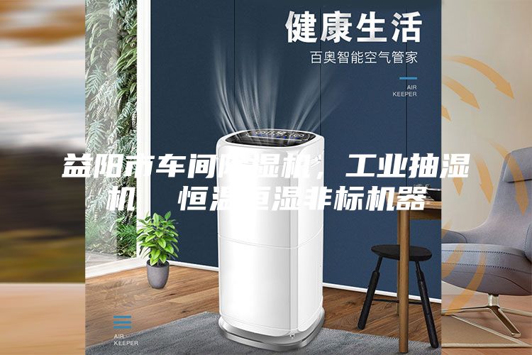 益陽市車間除濕機，工業(yè)抽濕機  恒溫恒濕非標機器