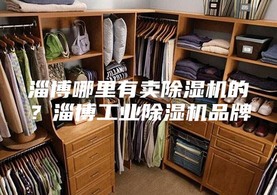 淄博哪里有賣(mài)除濕機(jī)的？淄博工業(yè)除濕機(jī)品牌