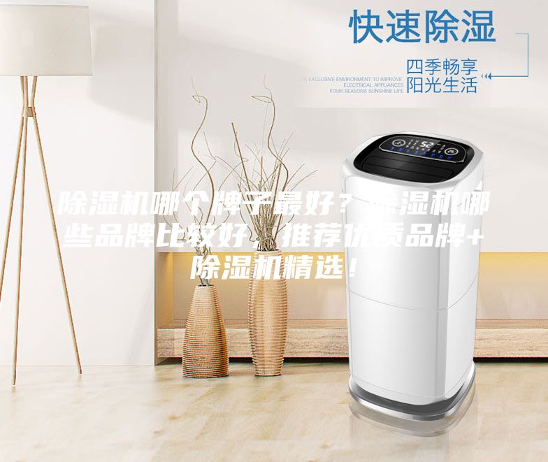 除濕機哪個牌子最好？除濕機哪些品牌比較好，推薦優(yōu)質(zhì)品牌+除濕機精選！