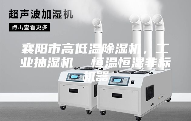 襄陽市高低溫除濕機，工業(yè)抽濕機  恒溫恒濕非標機器