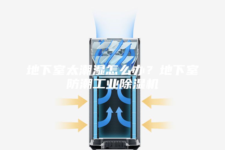 地下室太潮濕怎么辦？地下室防潮工業(yè)除濕機