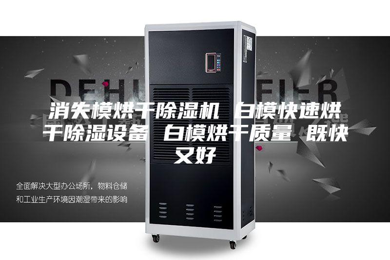 消失模烘干除濕機(jī) 白?？焖俸娓沙凉裨O(shè)備 白模烘干質(zhì)量 既快又好