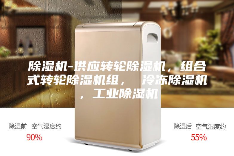除濕機(jī)-供應(yīng)轉(zhuǎn)輪除濕機(jī)，組合式轉(zhuǎn)輪除濕機(jī)組， 冷凍除濕機(jī)，工業(yè)除濕機(jī)