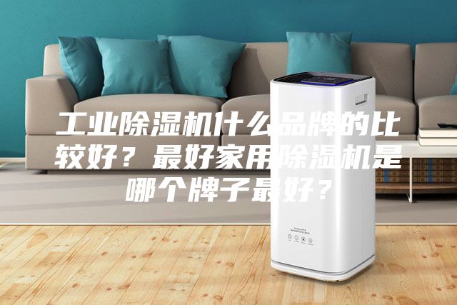工業(yè)除濕機(jī)什么品牌的比較好？最好家用除濕機(jī)是哪個(gè)牌子最好？