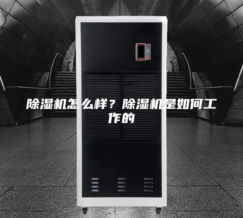 除濕機(jī)怎么樣？除濕機(jī)是如何工作的