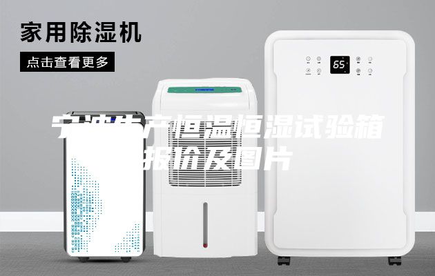 寧波生產(chǎn)恒溫恒濕試驗箱報價及圖片