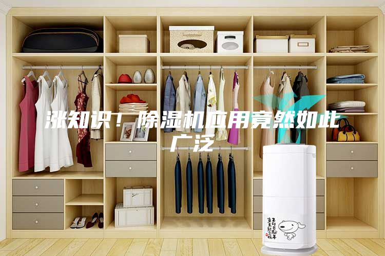 漲知識！除濕機應(yīng)用竟然如此廣泛