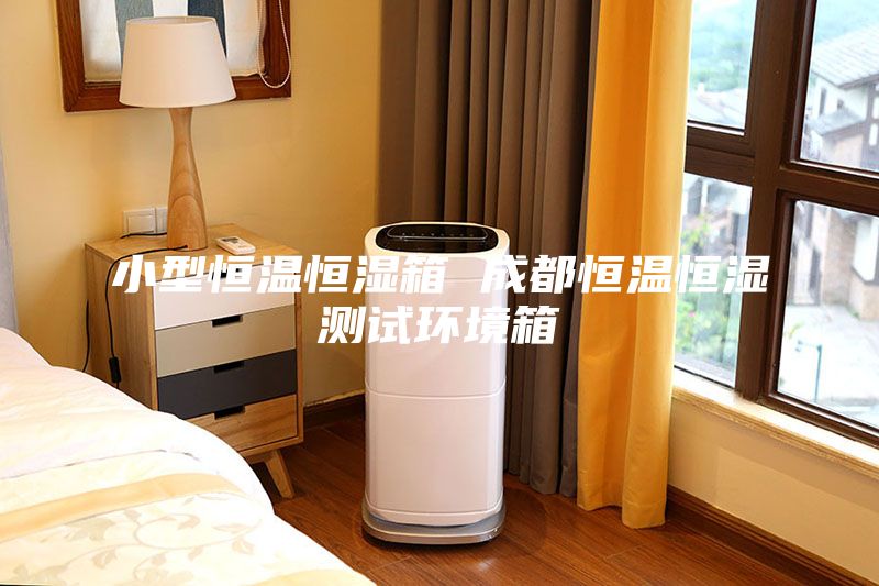 小型恒溫恒濕箱 成都恒溫恒濕測試環境箱