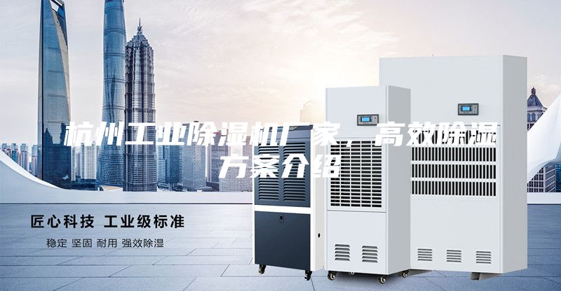 杭州工業(yè)除濕機廠家，高效除濕方案介紹