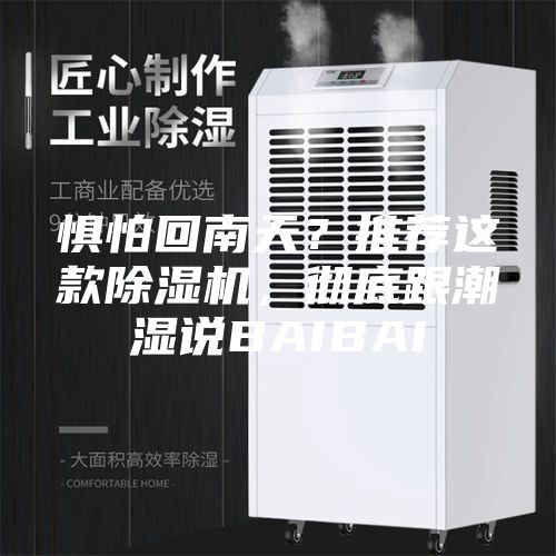 懼怕回南天？推薦這款除濕機，徹底跟潮濕說BAIBAI