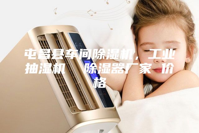 屯昌縣車間除濕機，工業(yè)抽濕機  除濕器廠家 價格