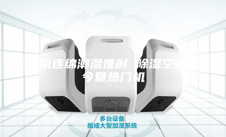 陰雨連綿潮濕難耐 除濕空調(diào)成今夏熱門機(jī)