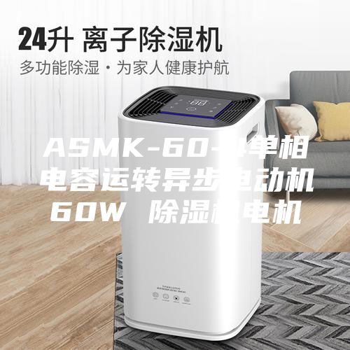 ASMK-60-4單相電容運轉(zhuǎn)異步電動機(jī)60W 除濕機(jī)電機(jī)
