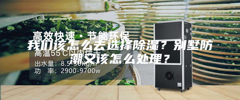 我們該怎么去選擇除濕？別墅防潮又該怎么處理？