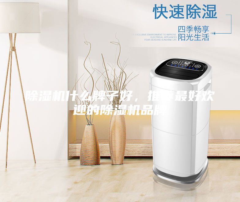 除濕機什么牌子好，推薦最好歡迎的除濕機品牌