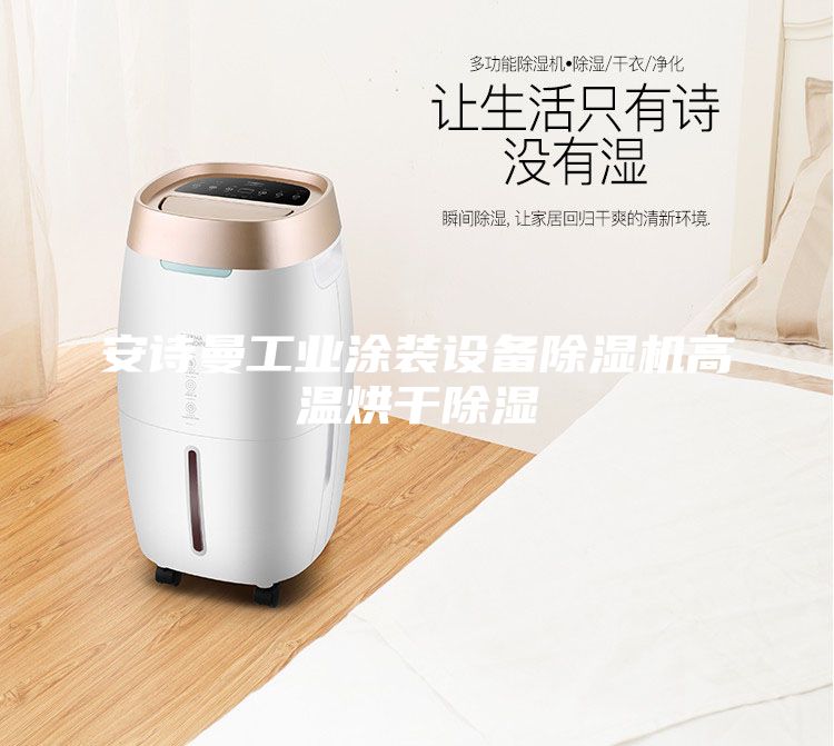 安詩(shī)曼工業(yè)涂裝設(shè)備除濕機(jī)高溫烘干除濕