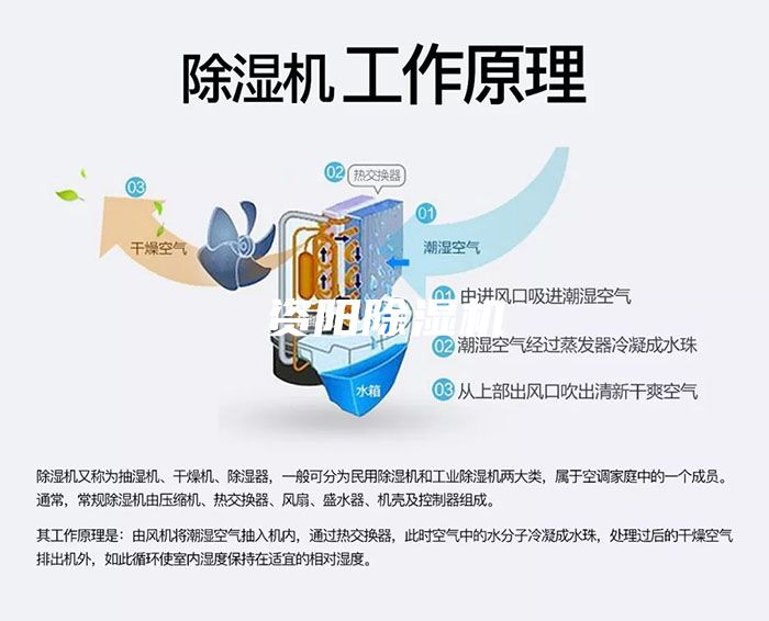 資陽除濕機