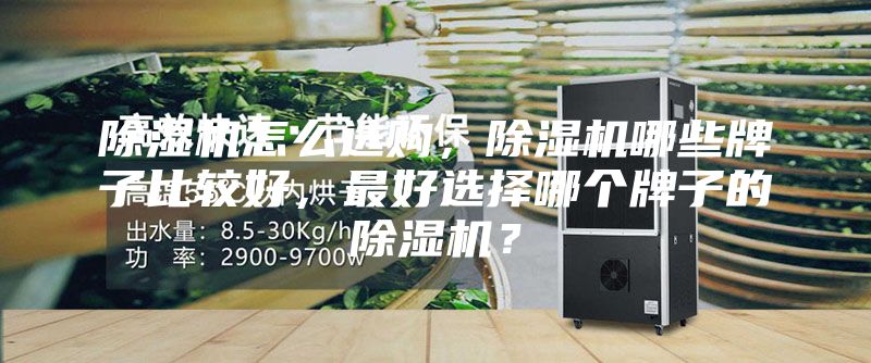 除濕機(jī)怎么選購(gòu)，除濕機(jī)哪些牌子比較好，最好選擇哪個(gè)牌子的除濕機(jī)？